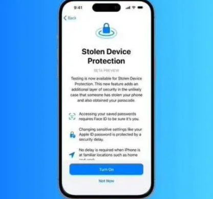 高安苹果授权维修店分享被盗设备保护功能开启方法 
