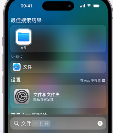 高安apple维修中心分享iPhone文件应用中存储和找到下载文件