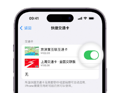 高安apple维修点分享iPhone上更换Apple Pay快捷交通卡手绘卡面 