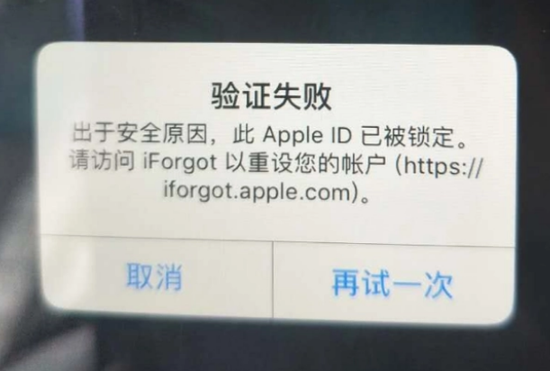 高安iPhone维修分享iPhone上正常登录或使用AppleID怎么办 