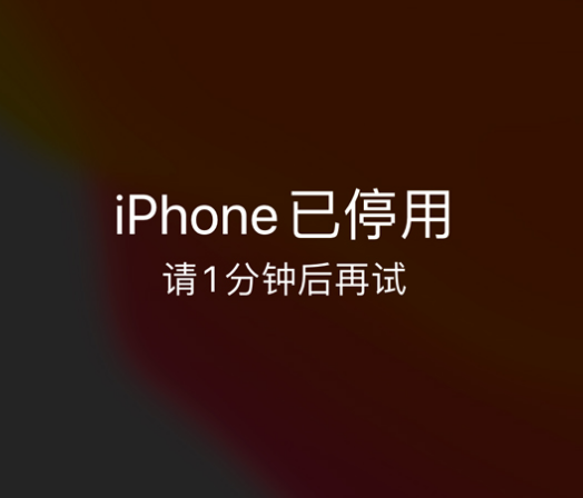 高安苹果手机维修分享:iPhone 显示“不可用”或“已停用”怎么办？还能保留数据吗？ 