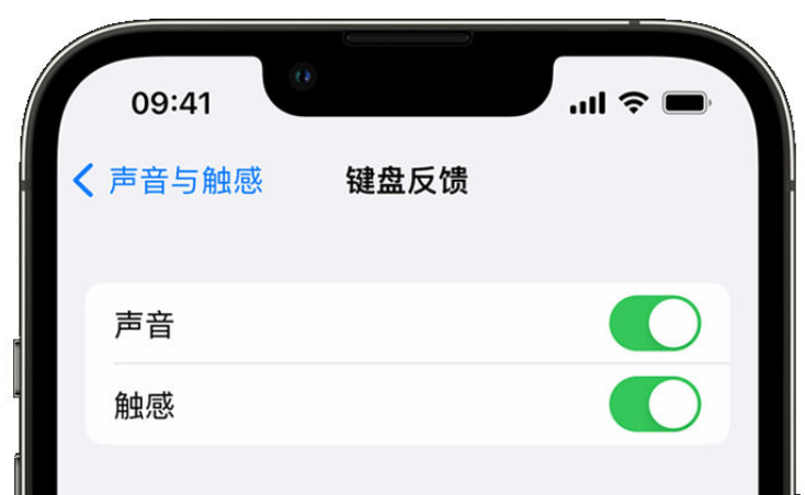 高安苹果手机维修分享iPhone 14触感键盘使用方法 