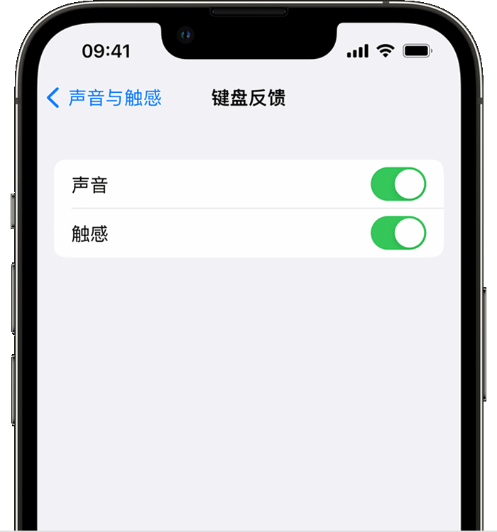 高安苹果14维修店分享如何在 iPhone 14 机型中使用触感键盘 