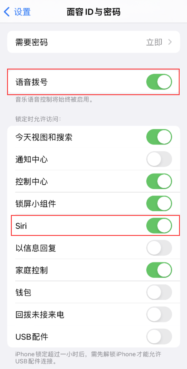 高安苹果维修网点分享不解锁 iPhone 的情况下通过 Siri 拨打电话的方法 