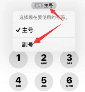 高安苹果14维修店分享iPhone 14 Pro Max使用副卡打电话的方法 