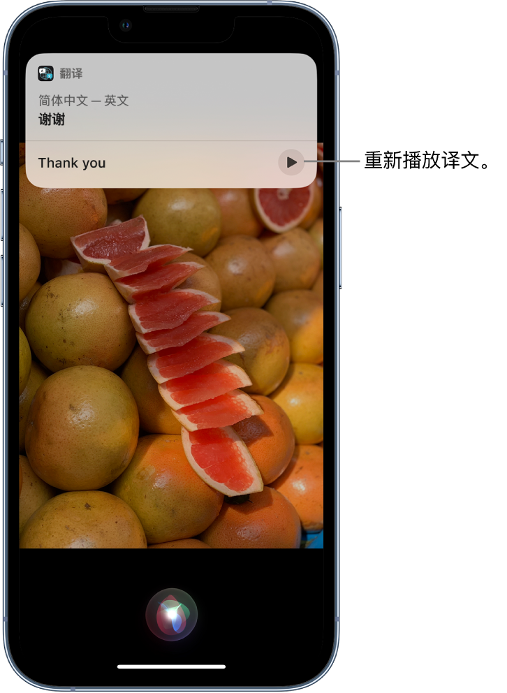 高安苹果14维修分享 iPhone 14 机型中使用 Siri：了解 Siri 能帮你做什么 