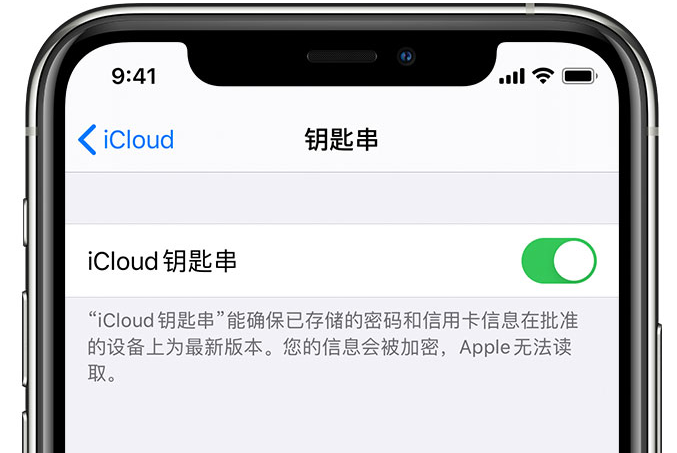 高安苹果手机维修分享在 iPhone 上开启 iCloud 钥匙串之后会储存哪些信息 