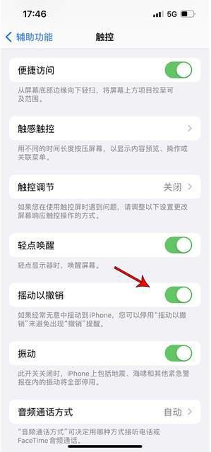 高安苹果手机维修分享iPhone手机如何设置摇一摇删除文字 